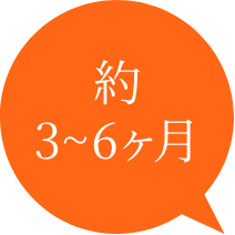 約3~6ヶ月