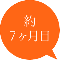 約7ヶ月
